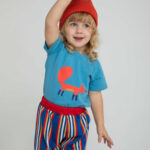 chmurra 19593 optimized