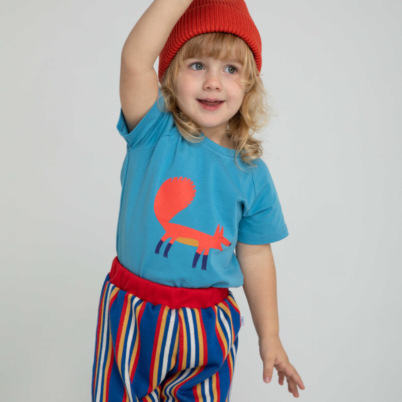 chmurra 19593 optimized