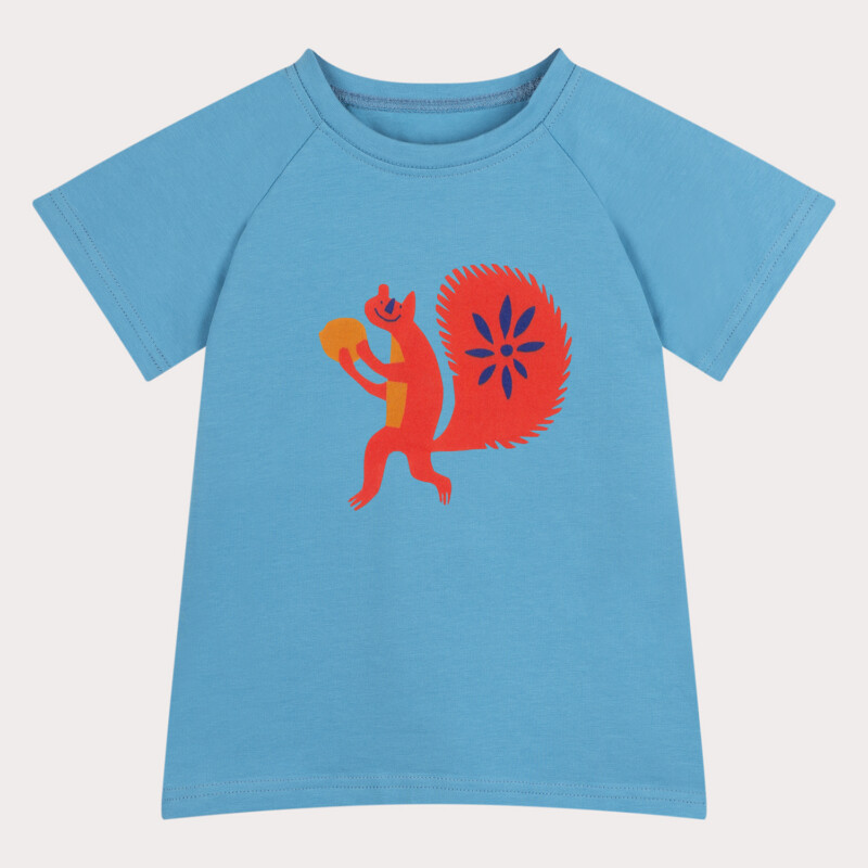 niebieski t shirt wiewiorka